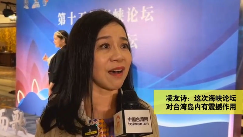 凌友詩：這次海峽論壇對臺灣島內有震撼作用圖片