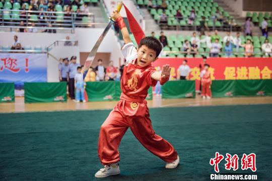 本屆大賽主要圍繞有閩臺淵源的白鶴拳、五組拳、地術拳、自然拳、太極拳等拳術以及器械展開�！】祽c平 攝