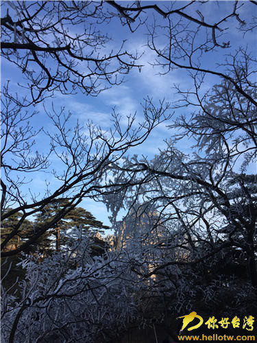 冬日黃山銀裝素裹 人間仙境引兩岸媒體齊點贊 冬日黃山銀裝素裹 人間仙境引兩岸媒體齊點贊