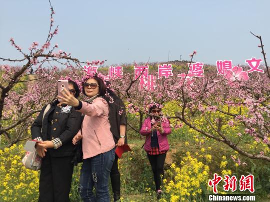 圖為海峽兩岸婆媳在桃花樹下合影留念!×植 攝