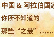 中國與阿拉伯國家關系“之最”，了解一下！