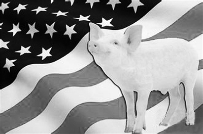 瘦肉精引發口水戰“英倫”斗法為何拿美豬開刀？