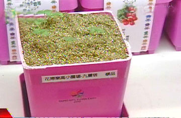 花博商店里的紀念品廣受民眾喜愛。圖片來源:臺灣TVBS電視臺