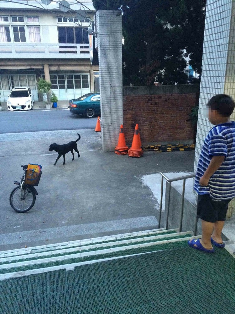 _ͯŌW·ڹ׷Mɳψ󡷈D
