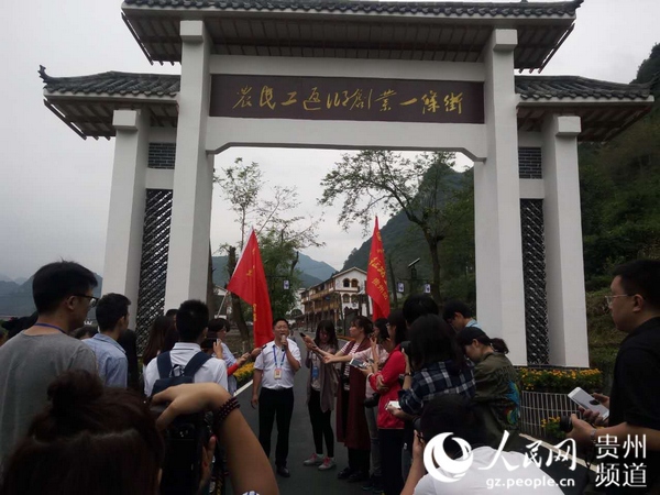【網絡媒體走轉改】解密：貴州婁山關的一條小青藤緣何能長出大山引“雁歸”？