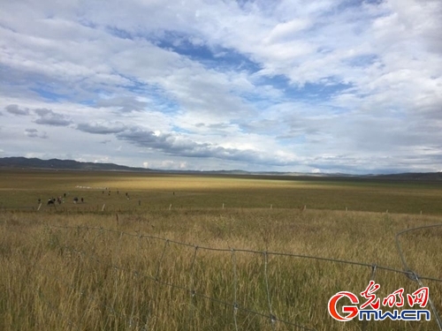 【網絡媒體走轉改】昔日長征艱險地 開出藏地“幸�；ā�