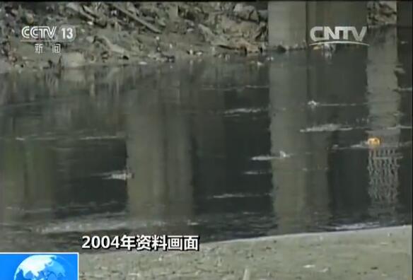 2004ĴϺˮʬFһNµīGɫ