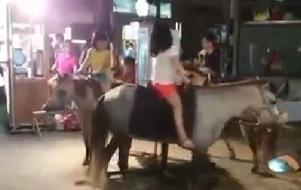 臺灣樂華夜市驚見“活體旋轉木馬”網友批：太殘忍。（臺媒圖）