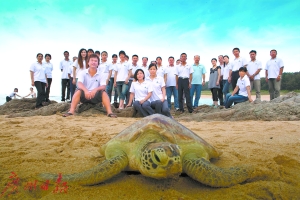 海龜保護隊。