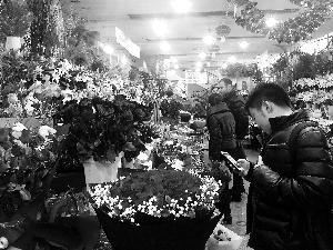 花卉市場人氣“爆棚”，各式玫瑰花的價格連日猛漲。
