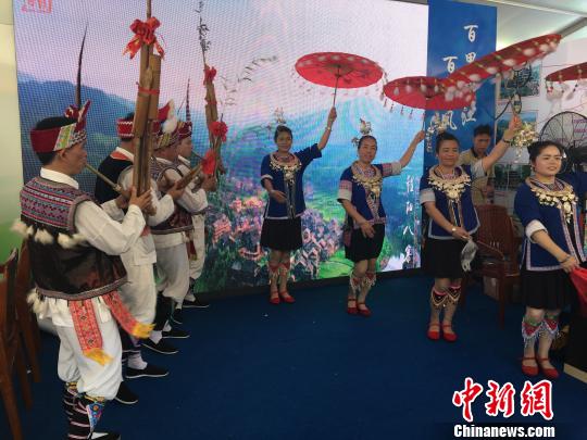 臺業界人士:廣西鄉村旅游可開發特色農產品帶動更多農民致富